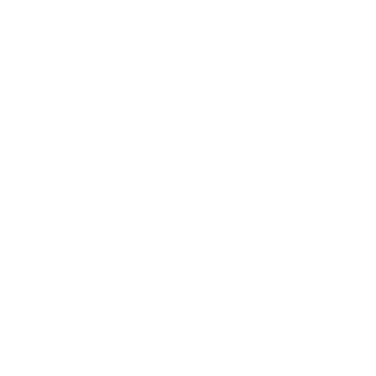 Icona Whatsapp
